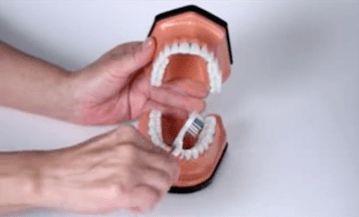 Screen Shot 2018-09-08 at 6.28.30 PM